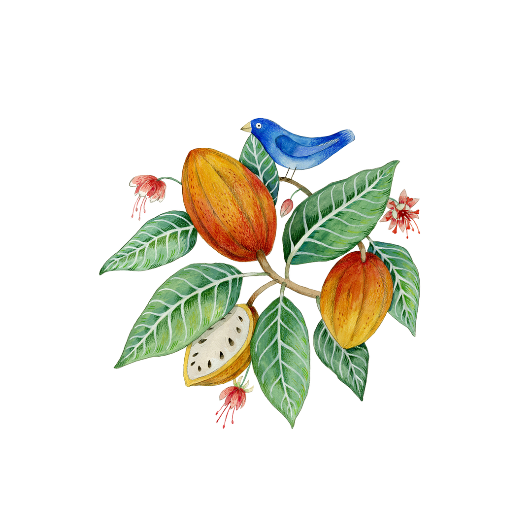Artisan handmade chocolate scene showing ripe cacao pods, green leaves, and a blue bird on a branch