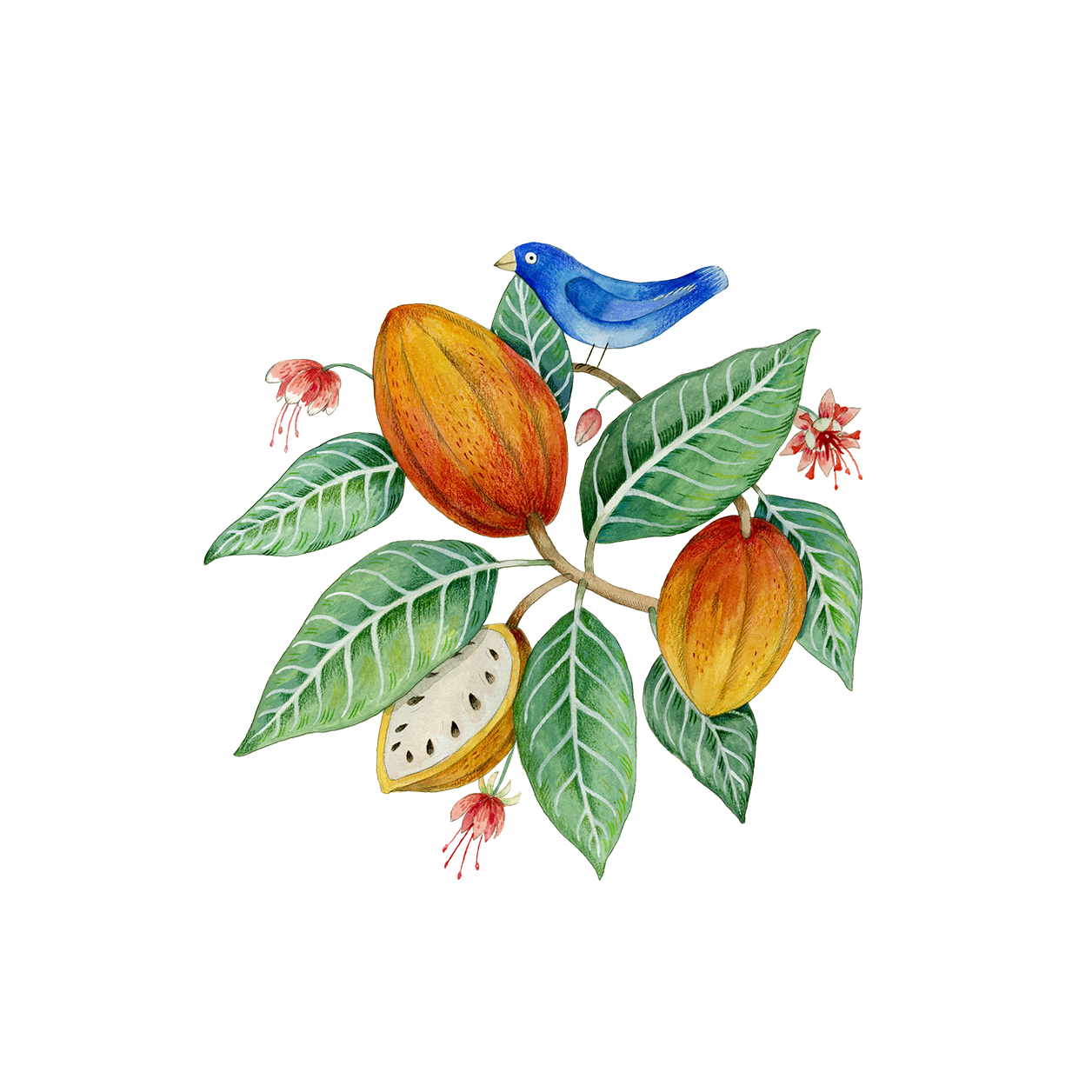 Artisan handmade chocolate scene showing ripe cacao pods, green leaves, and a blue bird on a branch