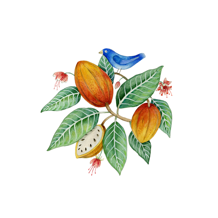 Artisan handmade chocolate scene showing ripe cacao pods, green leaves, and a blue bird on a branch