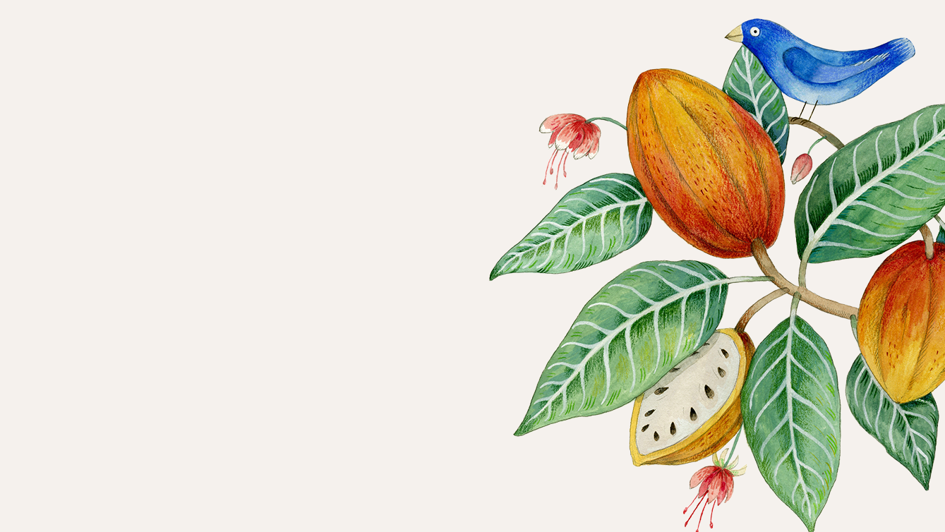 Artisan handmade chocolate-themed illustration with blue bird and cacao pods on green leaves