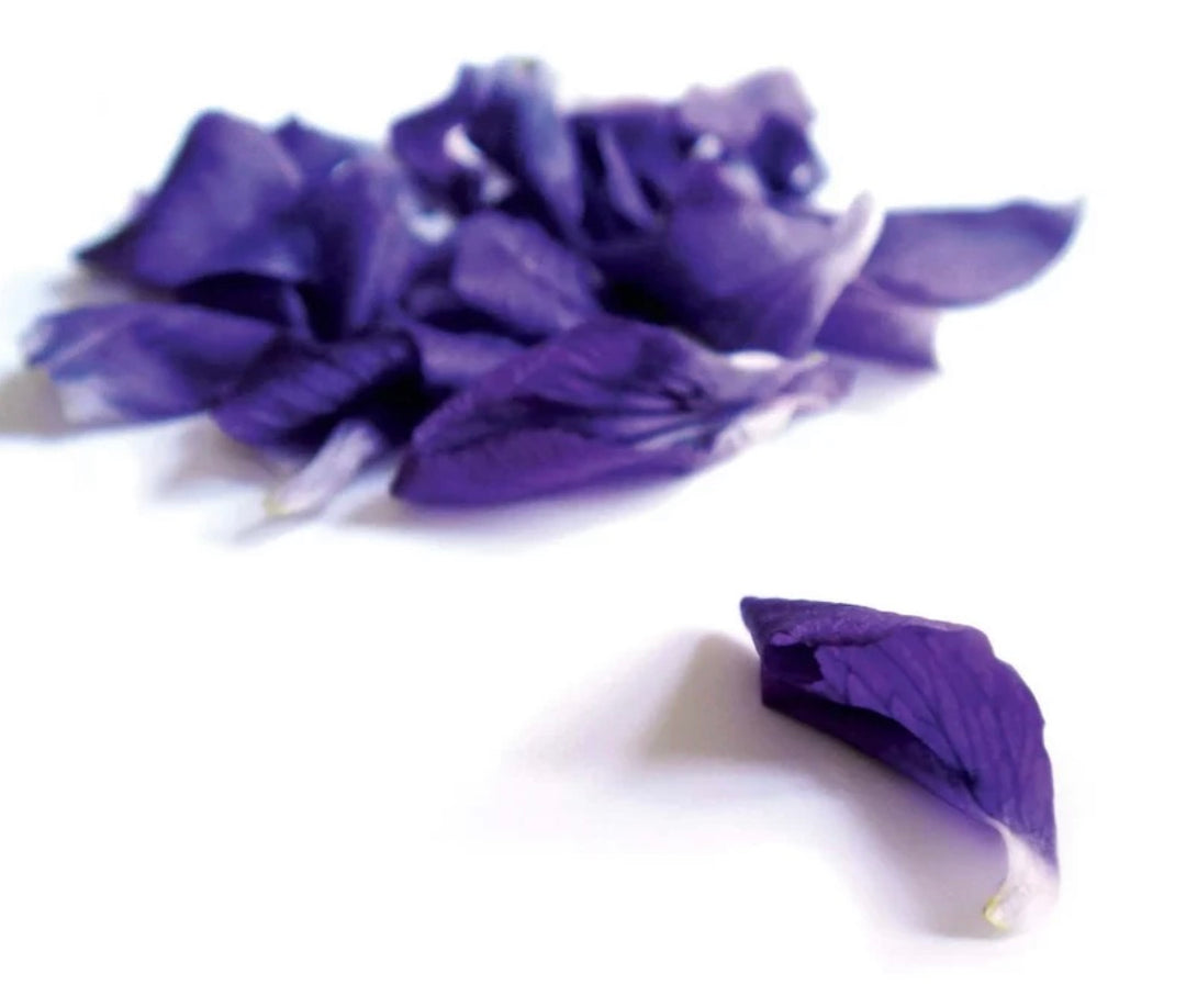 Violet - Anis De Flavigny bon bon