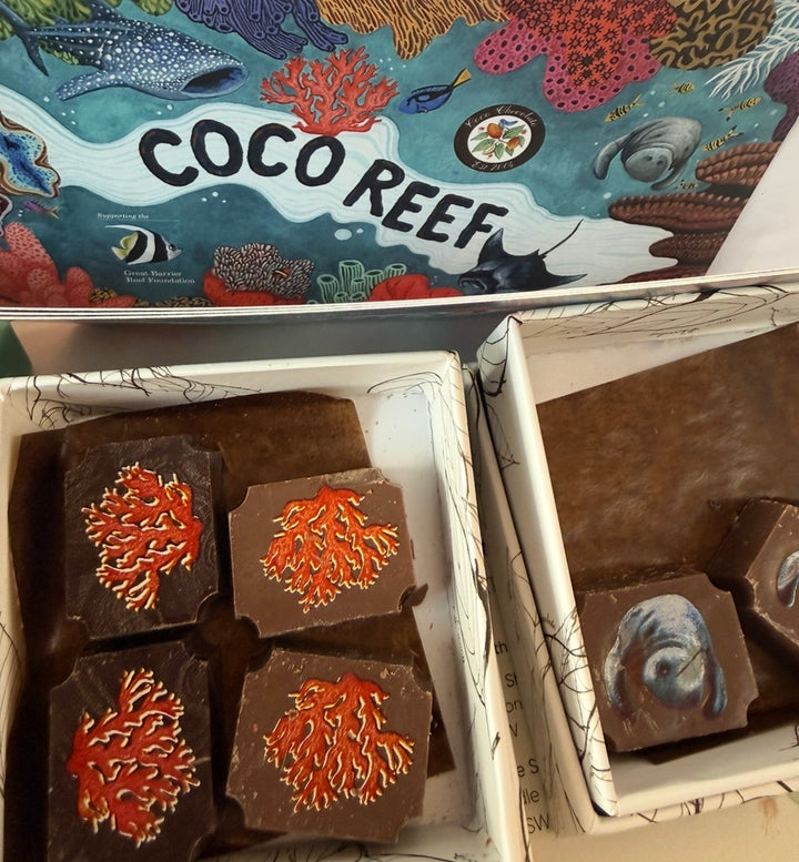 Coco Coral - Marine inspired box