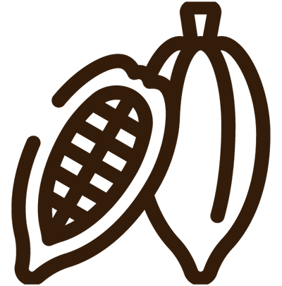 Handmade artisan chocolate icon of a cocoa pod and bean in dark brown line art.